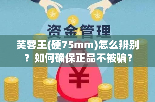 芙蓉王(硬75mm)怎么辨别？如何确保正品不被骗？